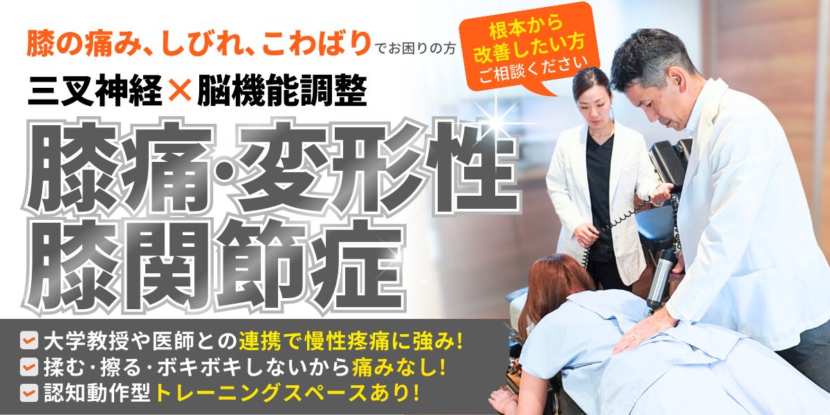 膝痛・変形性膝関節症